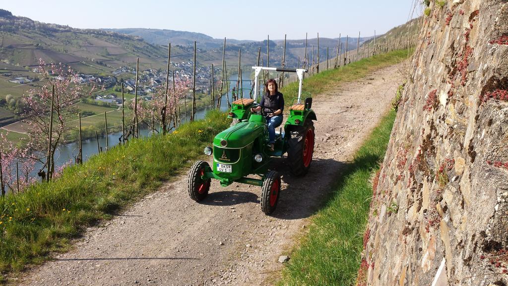 Weingut Hirschen Enkircherweg Burg  Chambre photo