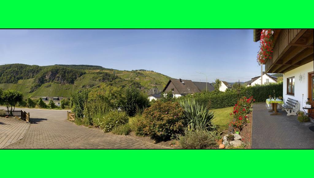 Weingut Hirschen Enkircherweg Burg  Extérieur photo