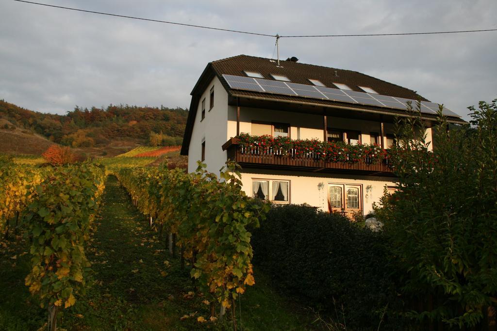 Weingut Hirschen Enkircherweg Burg  Extérieur photo